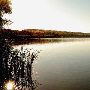 Озеро, трава, восход солнца