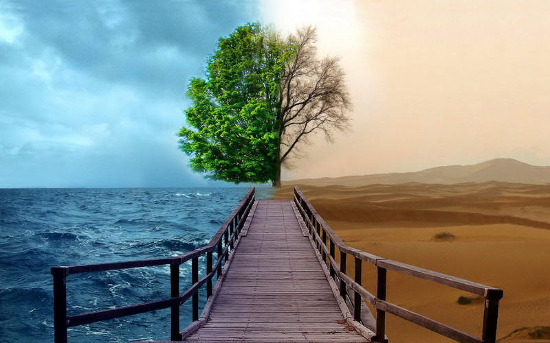 Пустыня, море, мост, дерево