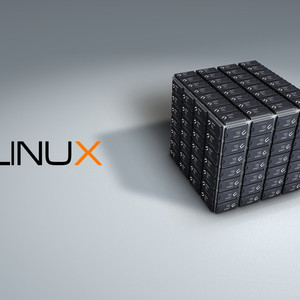 операционные системы, Linux, Линукс