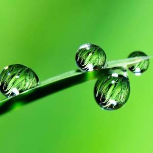 Raindrops, Grass, Macro wallpaper, Picture, Image