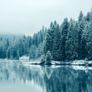 Озеро, зима, лес, пейзаж